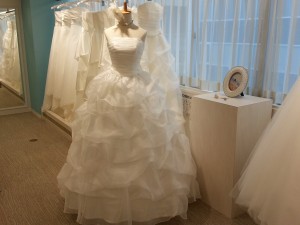 トルソードレス