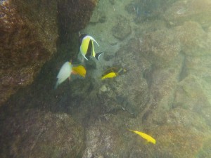 295779_366431000118516_1804337579_n