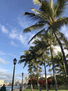 9D9FF68B-8EDE-4EE0-AD7E-0E397166BEE3