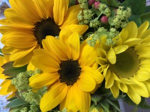 0CAAD158-3157-4732-ACBD-81D5DBFBC64F