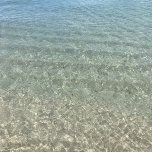 155BF3ED-1C9C-4FD1-B736-282086739665