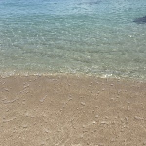 C2DD3A82-0FB9-4FB6-819E-CB77824D0B98