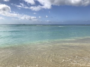 BF256F03-0C76-42B8-AE4B-B173FAEBB12D