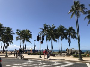 4B96D803-3F76-48B9-BA19-B53561EF1C13