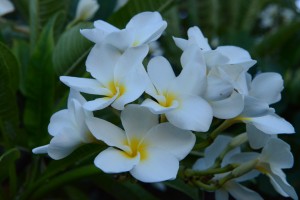 2013年7月21日分 304