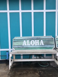 1F73E2D2-83D2-4AC7-A0C8-25D84380E7F9