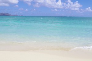 51ECF670-AE3D-4D36-A950-0975C4560868