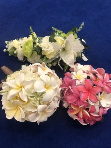 B4E23878-007B-408D-AB7F-DE2E51553F51