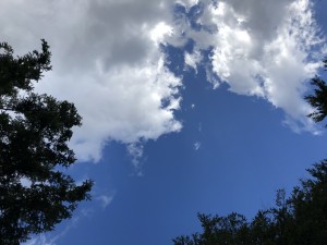 CE4A3BDF-083C-433B-90B3-D5B7C6D72AEA