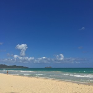 2D8C422A-AF08-4A97-955B-FFCFF96506AC