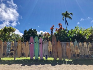 288B4F0B-9966-42D2-88C3-673AE4E1E0C0