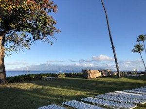 120197DC-B6C9-4F6F-8318-F76EDDF98D1F