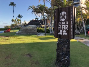 D6A7441C-59F9-4CBE-8DBD-1F71E0D7EC2C