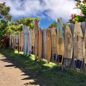 72F6748E-202B-4291-8312-485E374A313A