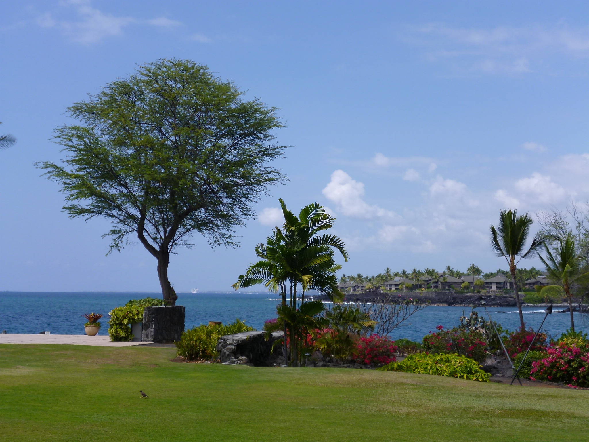 Beach & Moanalua Gardens