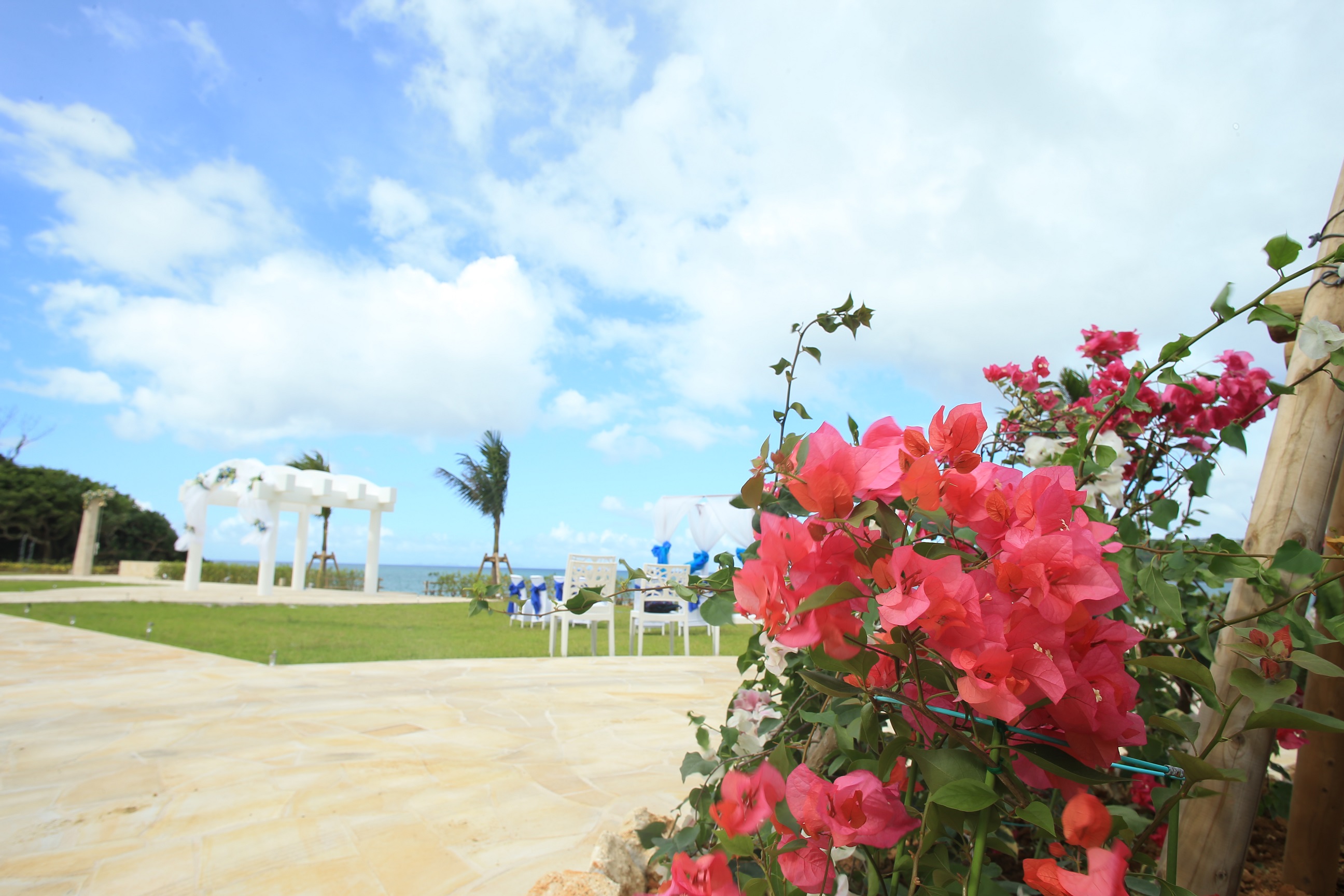 Best wedding spot it the world