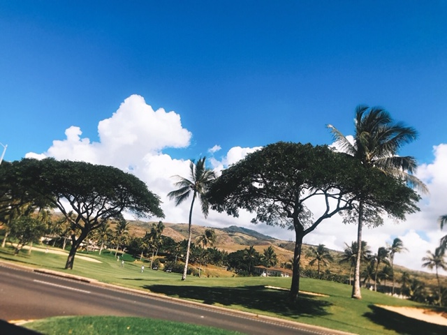 Beautiful green and blue from Hawaii