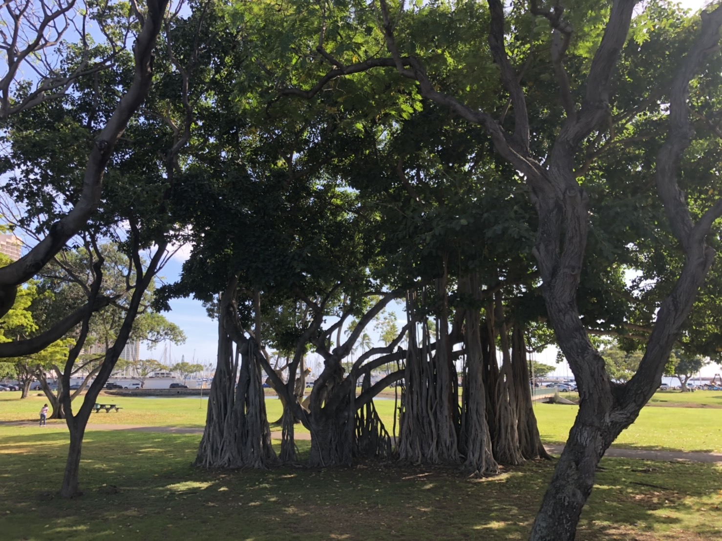 Photo location
