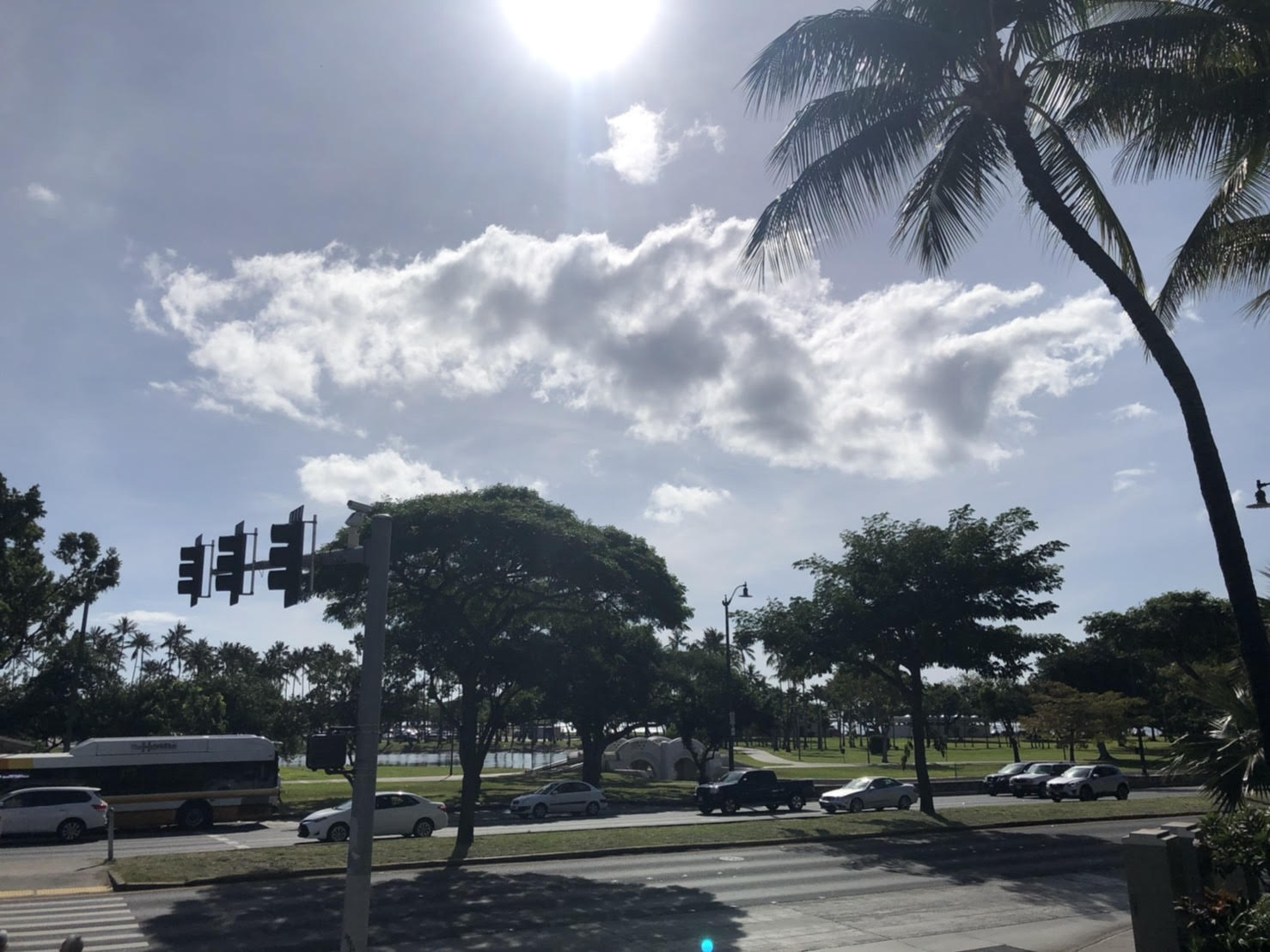 Moanalua garden