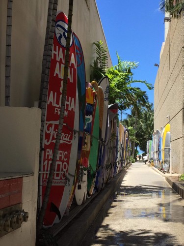 surfing