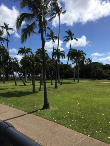 Kapiolani Park