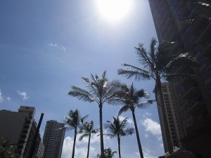 IMG_0229