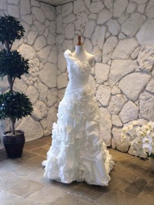 photo2