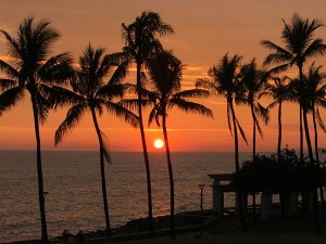 IMG_1179