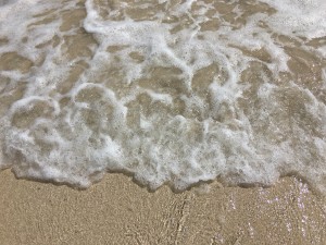 IMG_1357