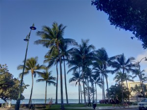 IMG_20160418_072617