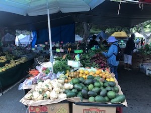 IMG_4369