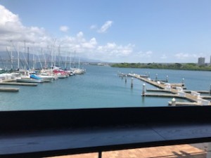 IMG_6625