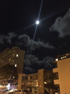 S__28082190