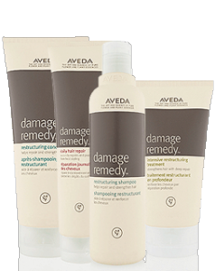 Aveda-Damage-Remedy-Kit