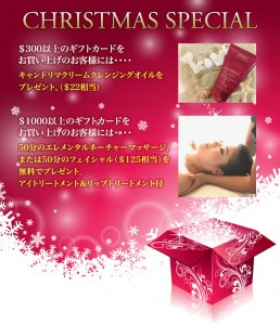 cristmas-special_pc