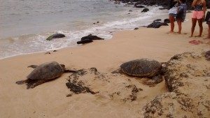 IMG_20160507_122715430