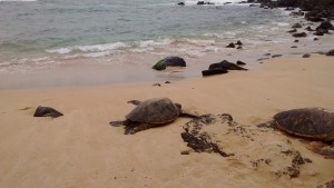 IMG_20160507_122719301