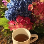 43749B0A-D53E-475B-A607-EB2EC4DCF827