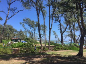 BBA7E06C-283B-440E-9B5D-A0AC1D204184