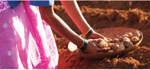 アーゆるべーだ