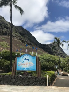 B6592E0D-E179-4733-BA2E-08B07605D59F