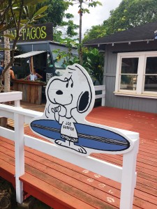 BB88FA5E-524C-4797-BC6A-DB2881B3043C