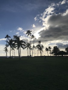 1FDA2001-7E8F-47A4-BD15-71B46EA22AF5