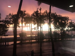 88712517-7E58-4715-891A-B9CDF36FD051