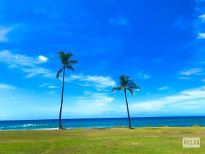 0E4AB082-C40F-4018-B4C3-C83E05DC44EE