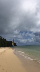 3ED8B052-1803-4193-95B8-8D751BEA43F3