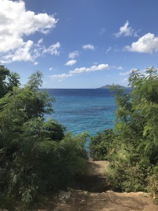 6DADF24B-BFB2-43F4-A2A2-AB1587AA893D