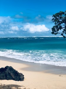 65CE7240-C485-4FE2-BB20-4B8C8E669A65