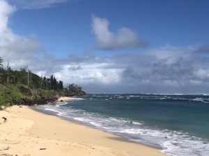 A3ABDC83-FD88-449B-9463-7D3AE86017EE