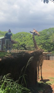 8790AC0F-F587-46E9-9BB2-A24B900B036E